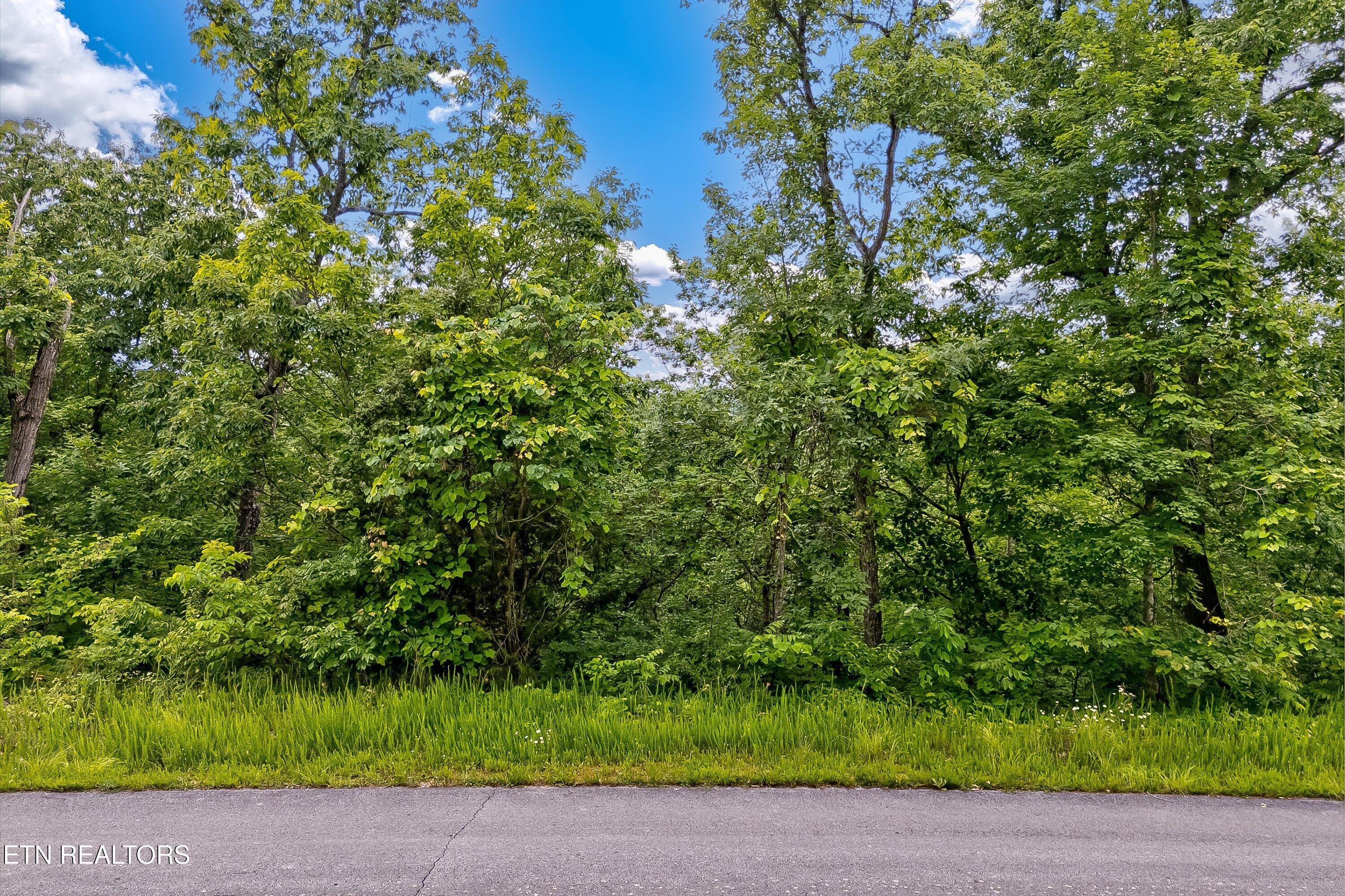 Tranquility Trail Dandridge TN 37725