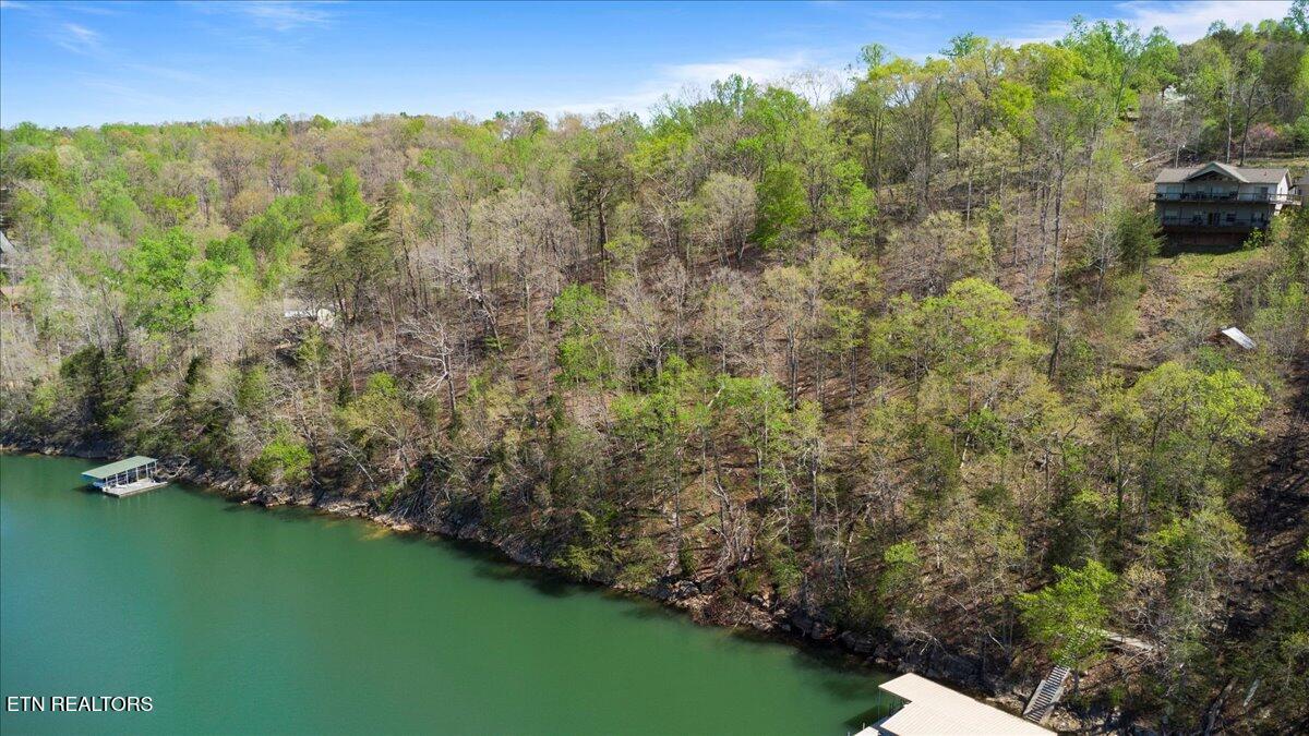Lot 44 Hiwassee Drive Jacksboro TN 37757