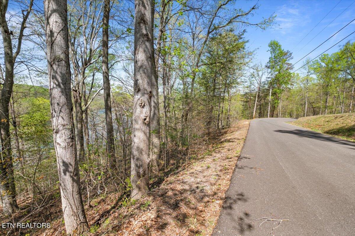Lot 44 Hiwassee Drive Jacksboro TN 37757