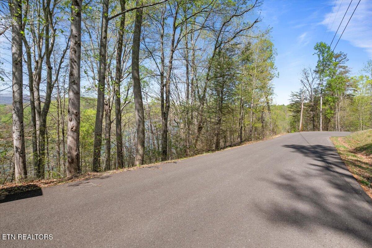 Lot 44 Hiwassee Drive Jacksboro TN 37757