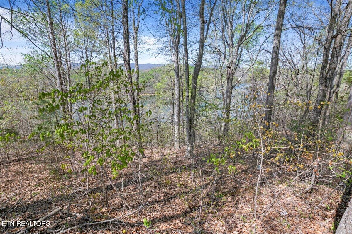 Lot 44 Hiwassee Drive Jacksboro TN 37757