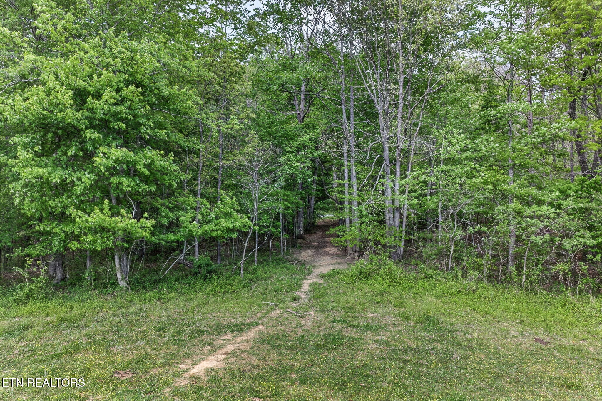 0 Honey Creek Loop Road Allardt TN 38504