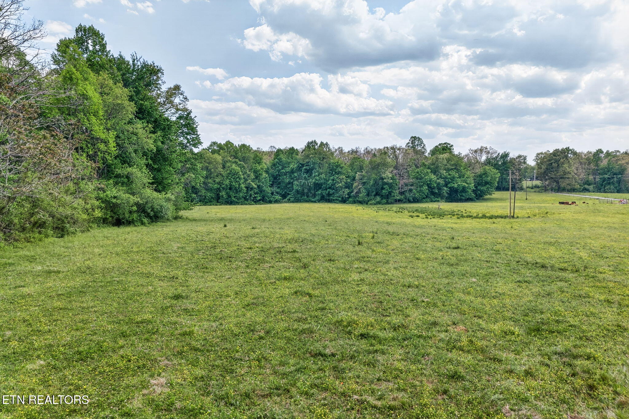 0 Honey Creek Loop Road Allardt TN 38504