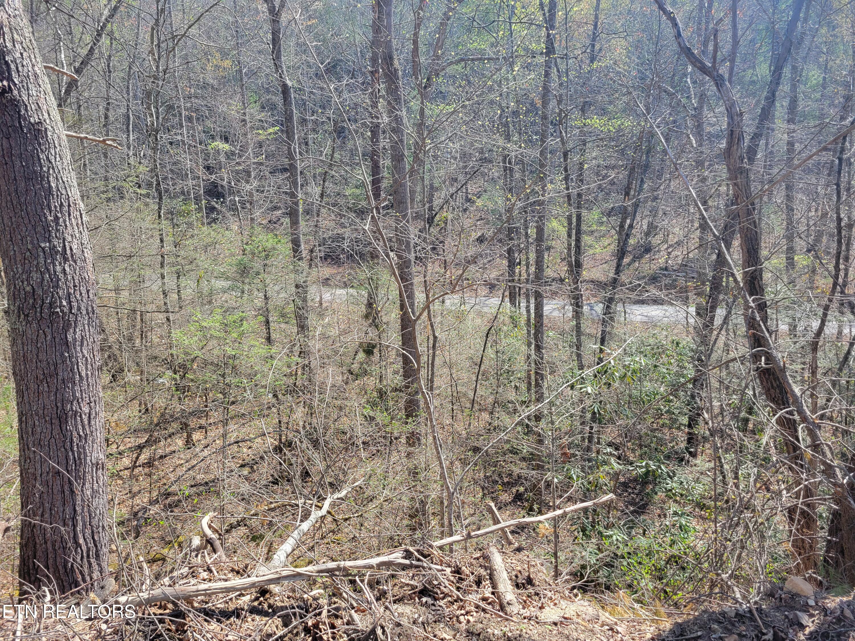 Lot 25 Alpine Drive Sevierville TN 37876