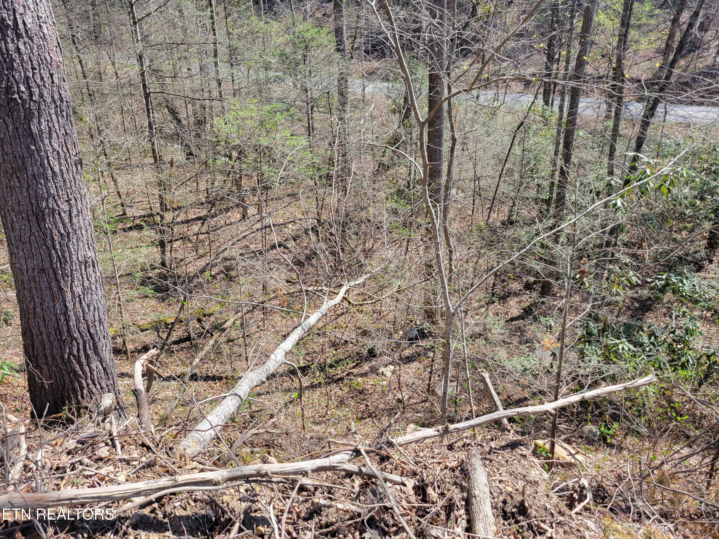 Lot 25 Alpine Drive Sevierville TN 37876