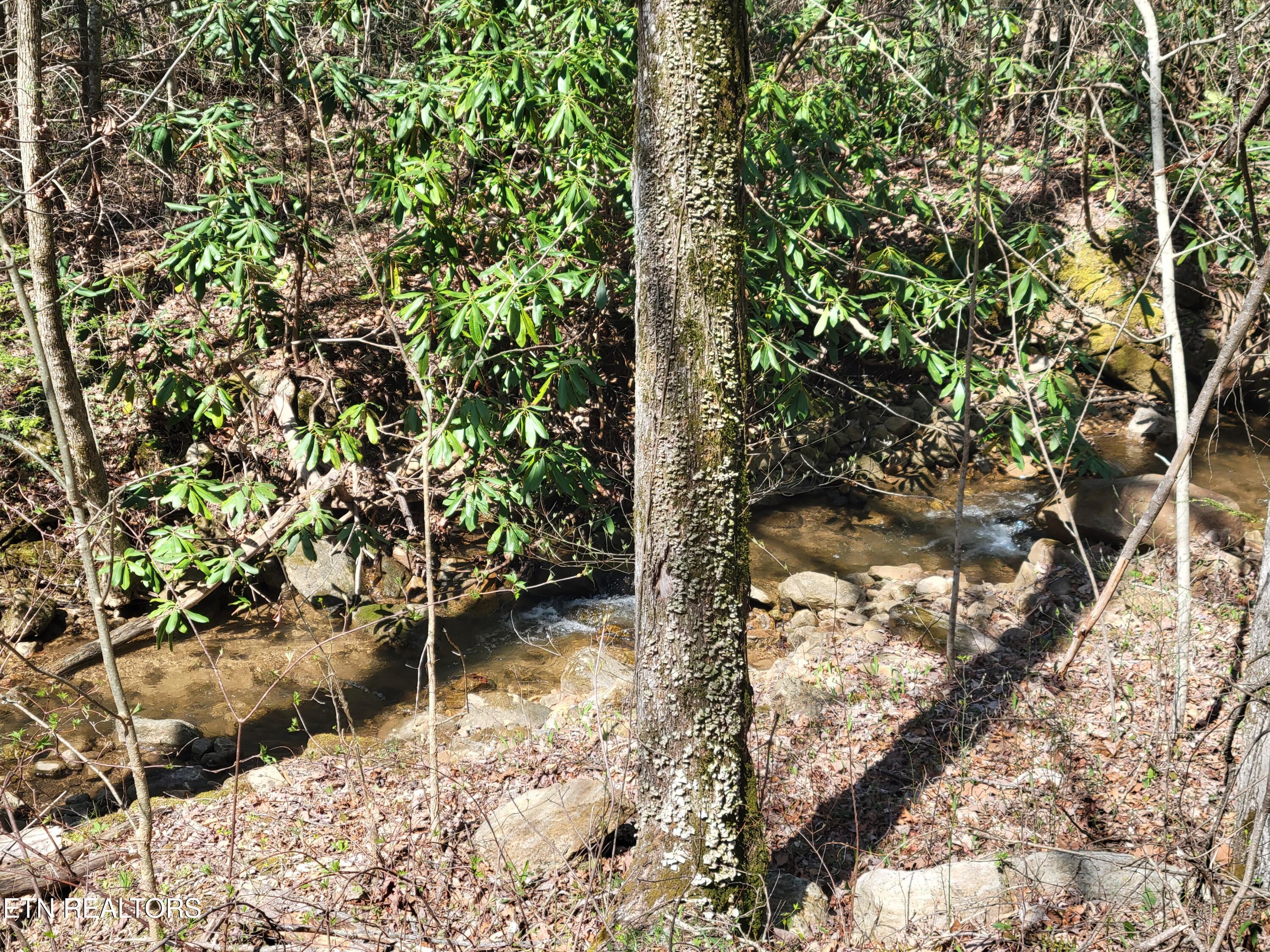 Lot 25 Alpine Drive Sevierville TN 37876