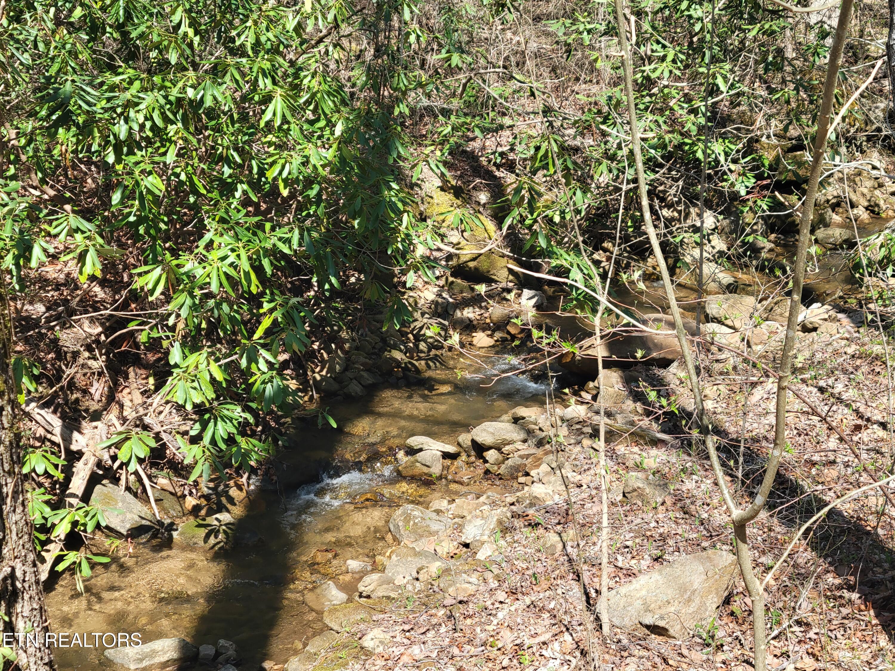 Lot 25 Alpine Drive Sevierville TN 37876