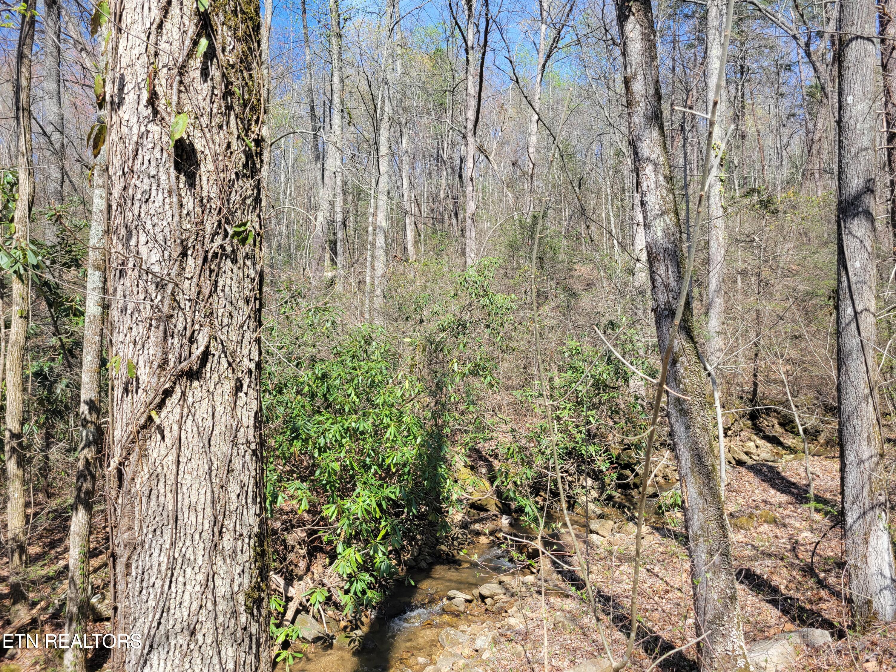 Lot 25 Alpine Drive Sevierville TN 37876