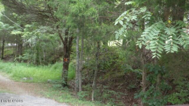 2.64 Old Highway 53 S Celina TN 38551