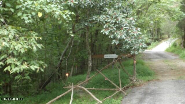 2.64 Old Highway 53 S Celina TN 38551