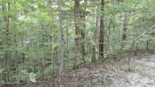 2.64 Old Highway 53 S Celina TN 38551