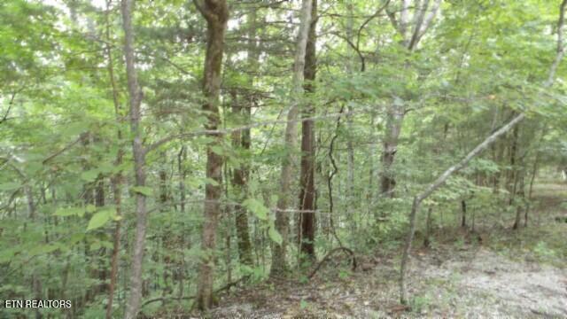 2.64 Old Highway 53 S Celina TN 38551