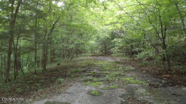 2.64 Old Highway 53 S Celina TN 38551