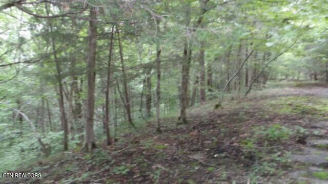 2.64 Old Highway 53 S Celina TN 38551