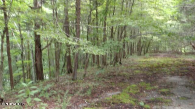 2.64 Old Highway 53 S Celina TN 38551