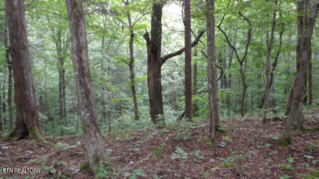 2.64 Old Highway 53 S Celina TN 38551