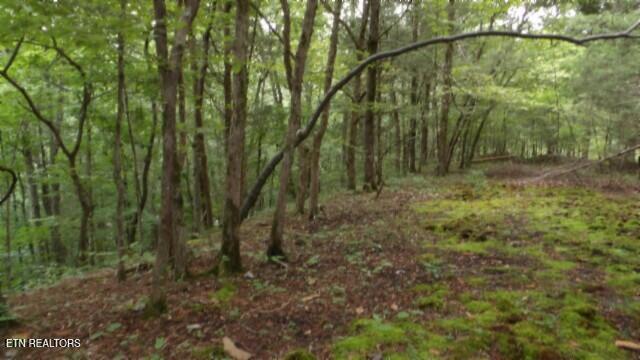2.64 Old Highway 53 S Celina TN 38551