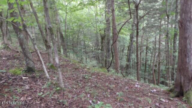 2.64 Old Highway 53 S Celina TN 38551