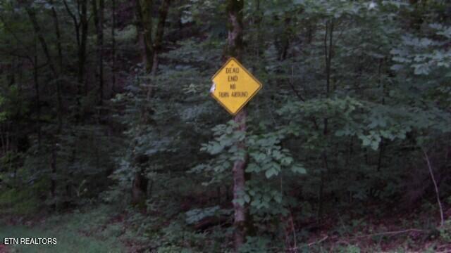 2.64 Old Highway 53 S Celina TN 38551