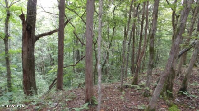 2.64 Old Highway 53 S Celina TN 38551
