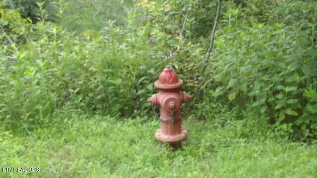 2.64 Old Highway 53 S Celina TN 38551