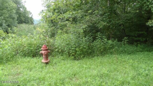 2.64 Old Highway 53 S Celina TN 38551