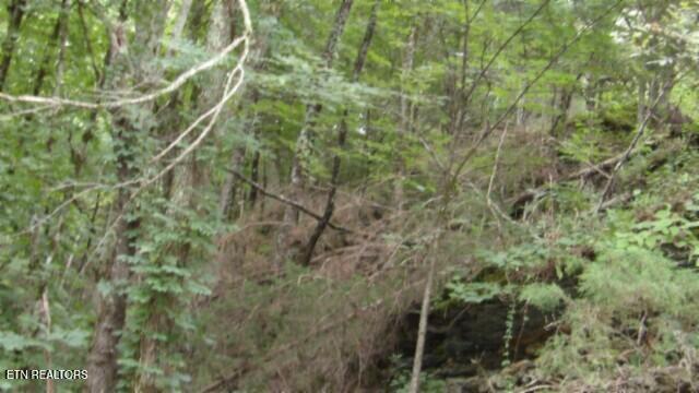 2.64 Old Highway 53 S Celina TN 38551