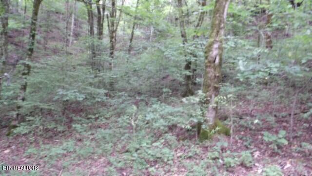 2.64 Old Highway 53 S Celina TN 38551
