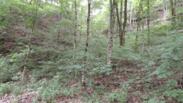 2.64 Old Highway 53 S Celina TN 38551