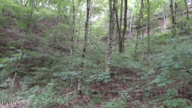 2.64 Old Highway 53 S Celina TN 38551