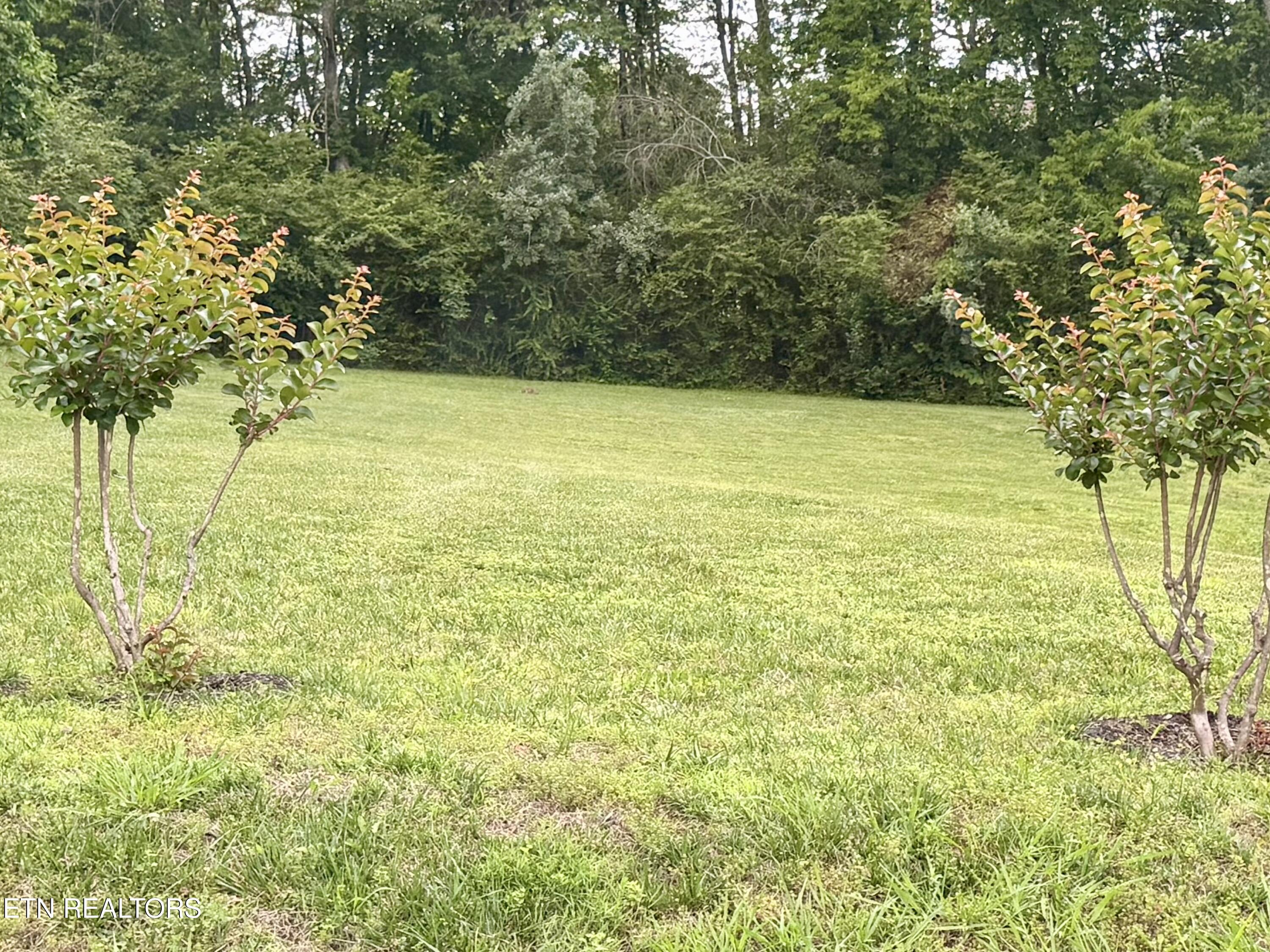 208 Mingo Way Loudon TN 37774