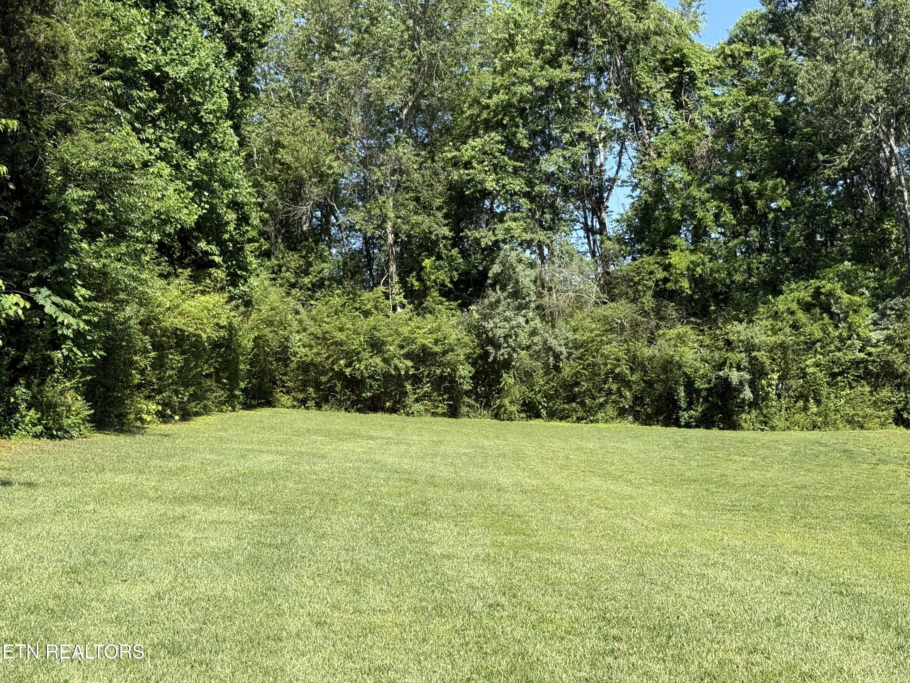 208 Mingo Way Loudon TN 37774