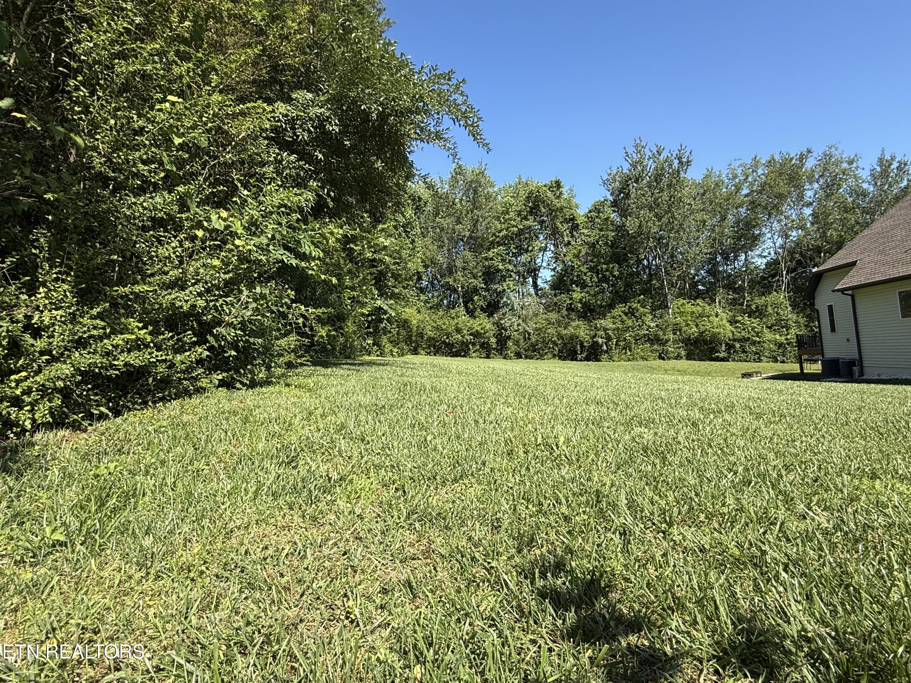 208 Mingo Way Loudon TN 37774