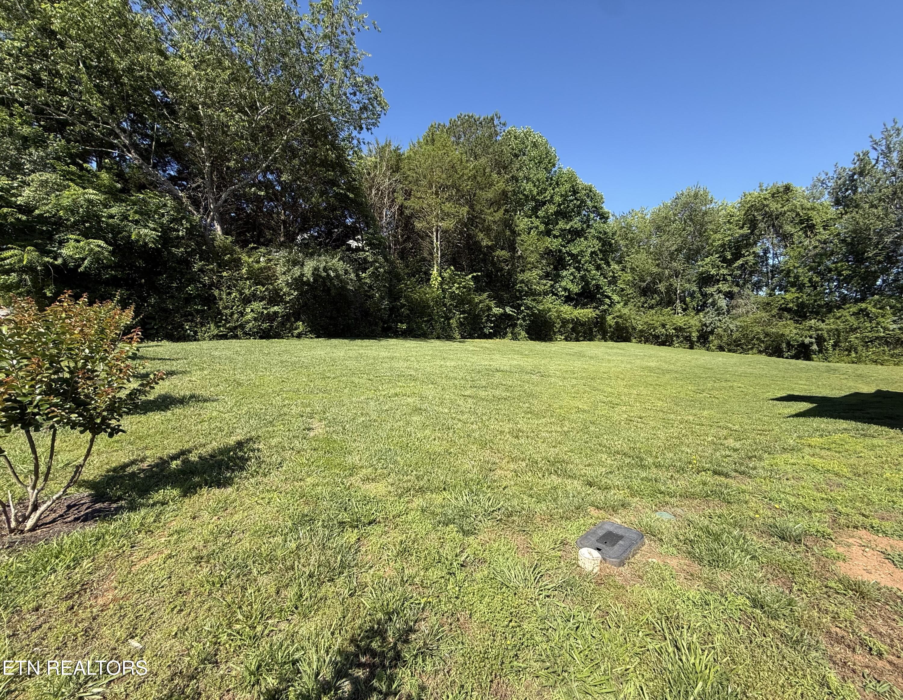 208 Mingo Way Loudon TN 37774