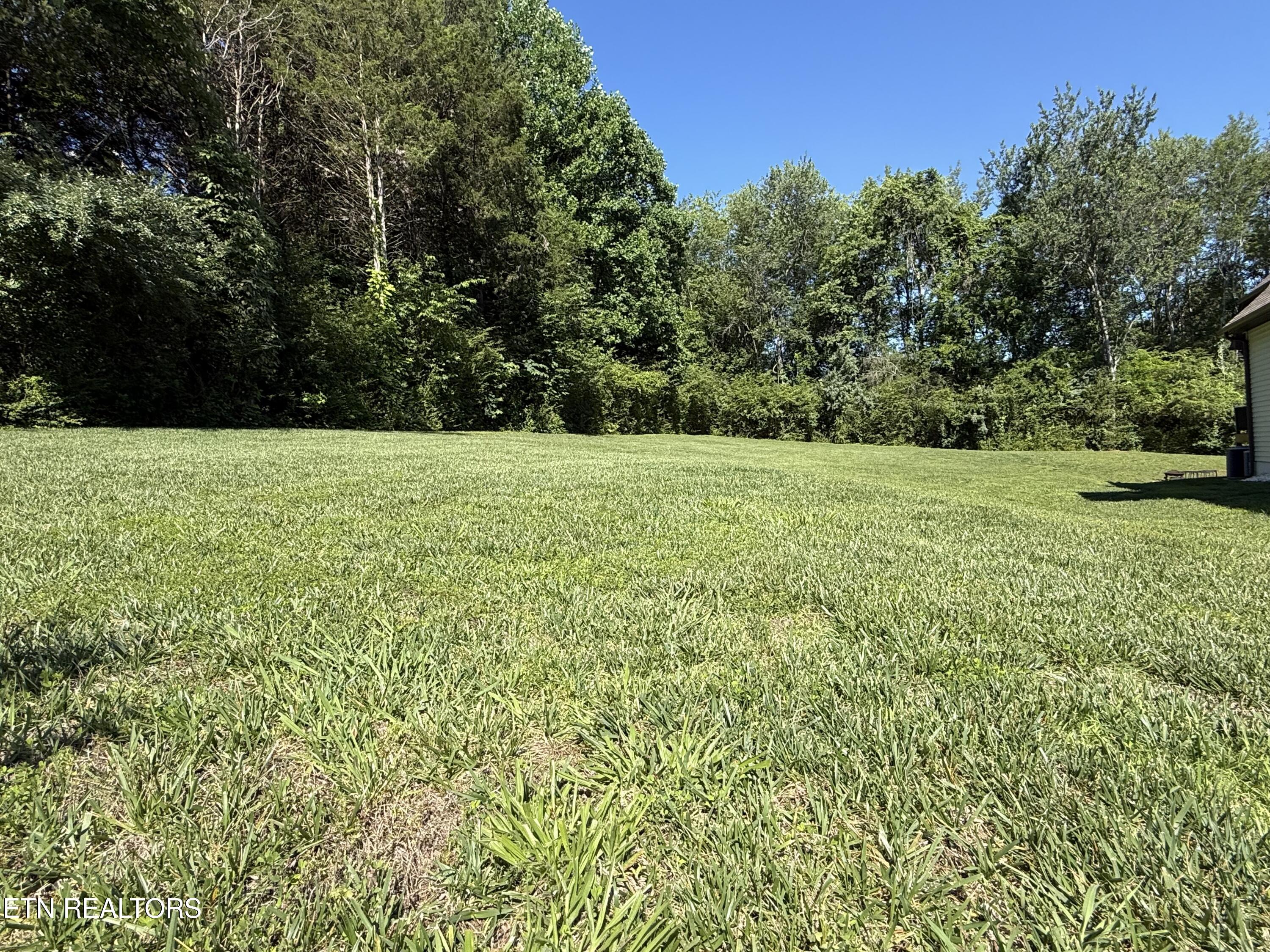 208 Mingo Way Loudon TN 37774