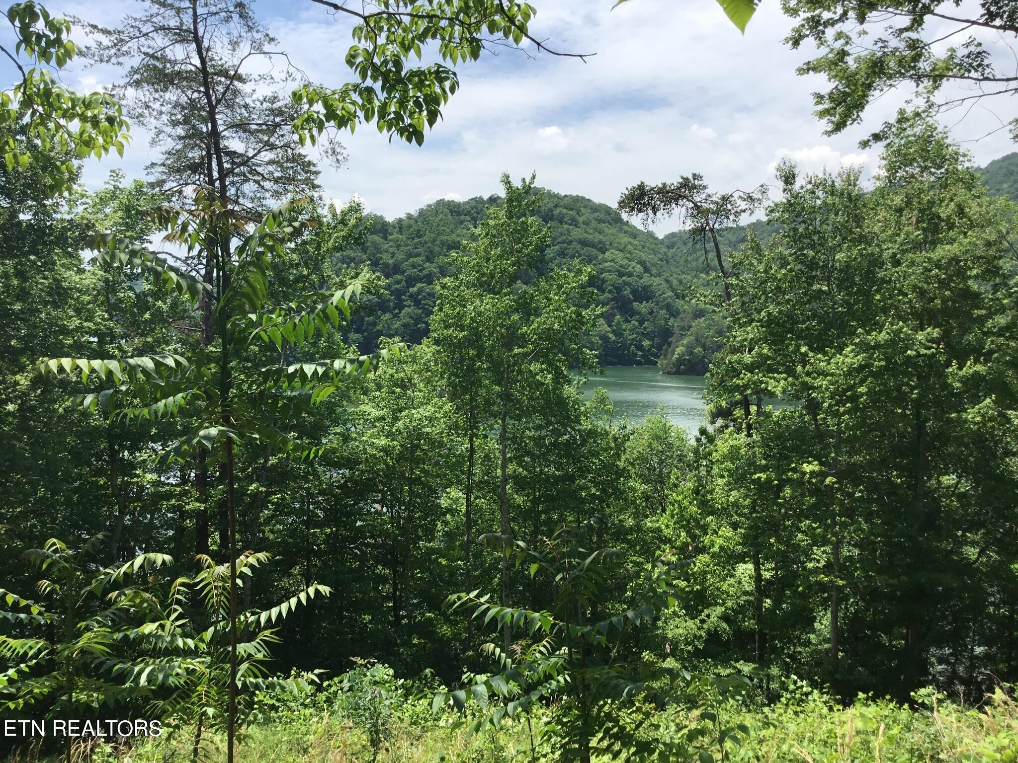 Lot 880 Fellowship Lane New Tazewell TN 37825