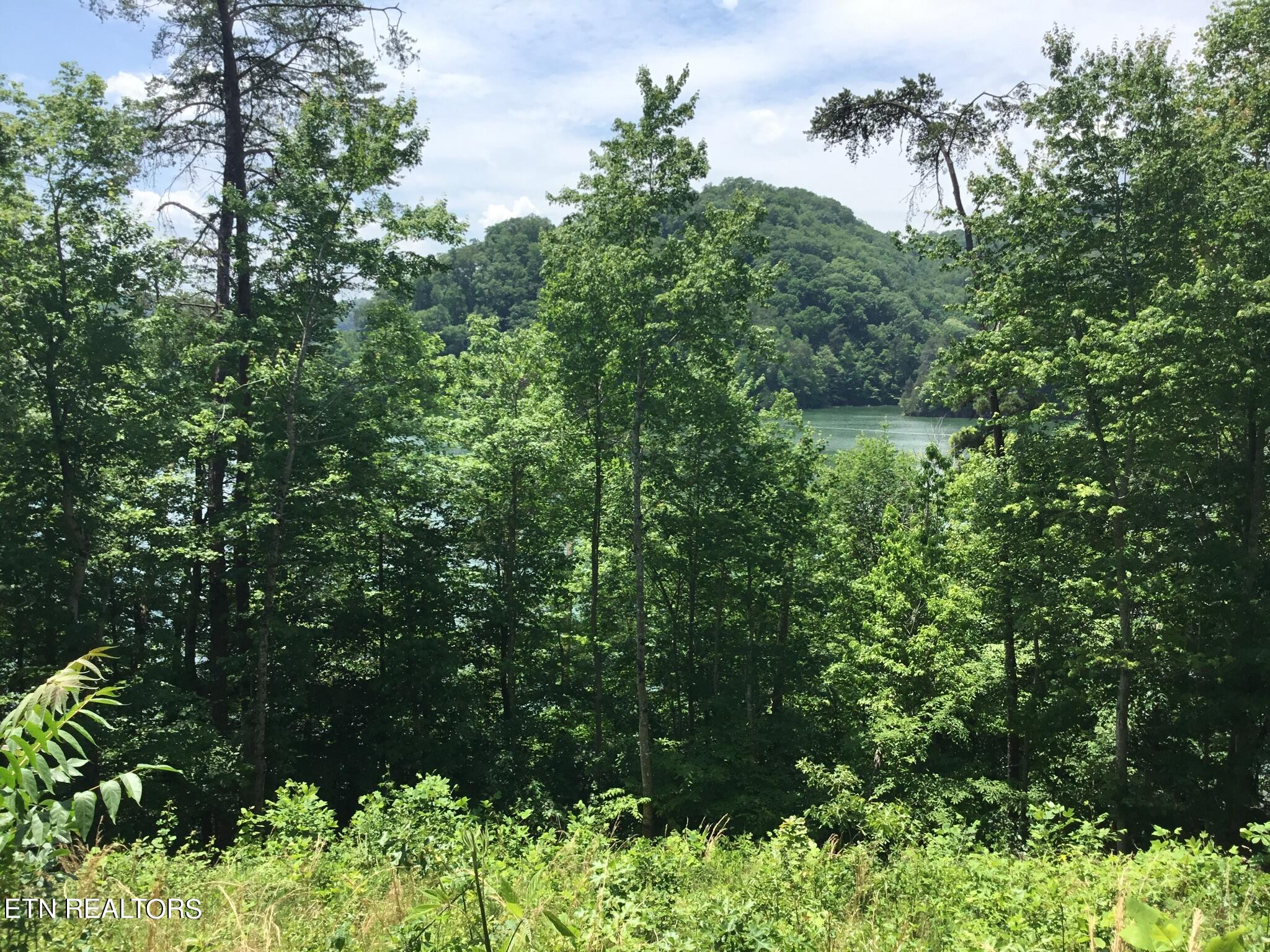 Lot 880 Fellowship Lane New Tazewell TN 37825