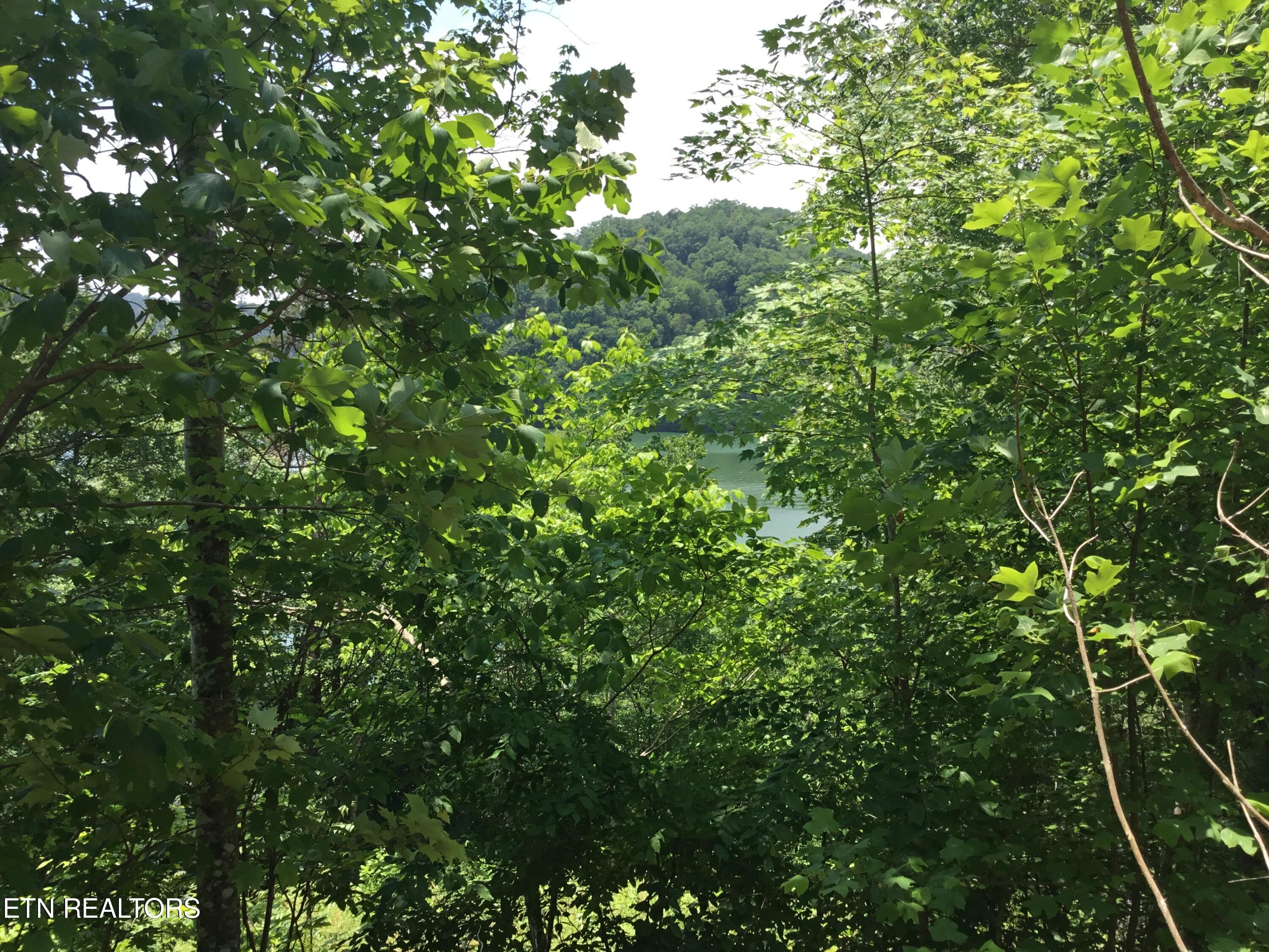 Lot 880 Fellowship Lane New Tazewell TN 37825