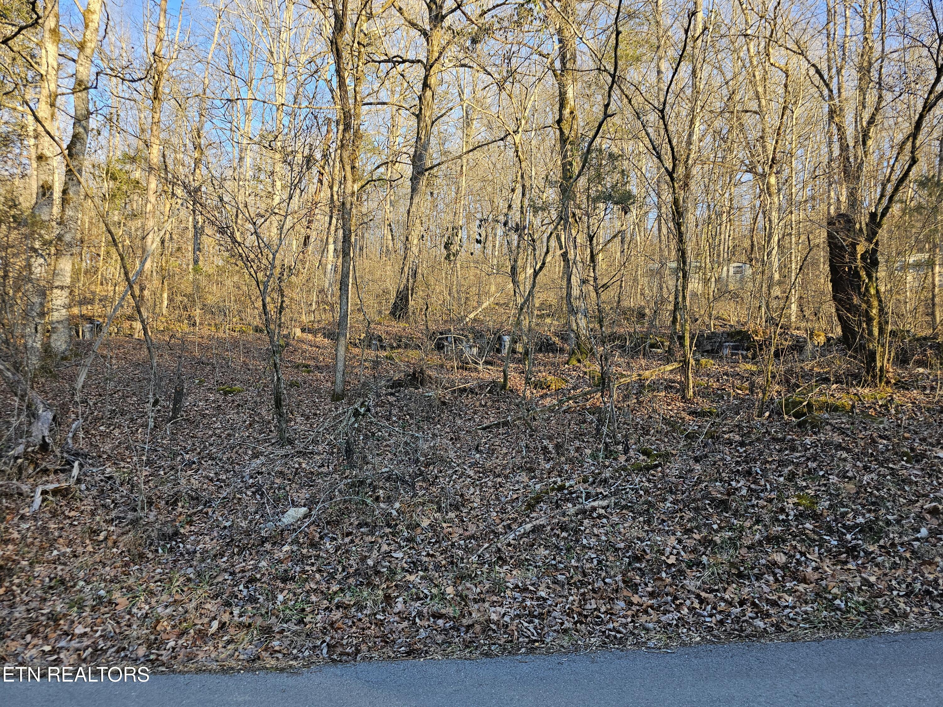 Blue Springs Road Speedwell TN 37870