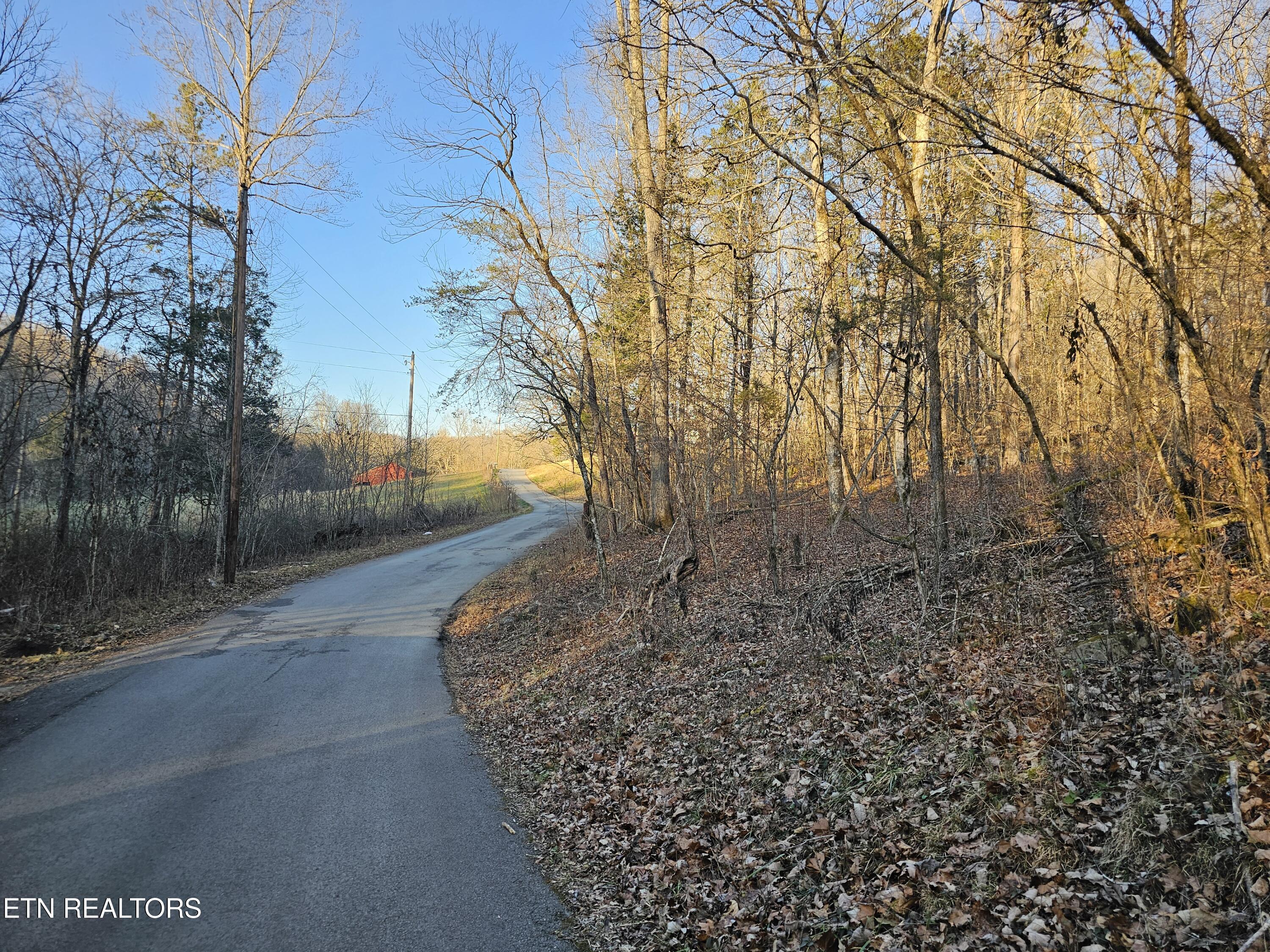 Blue Springs Road Speedwell TN 37870