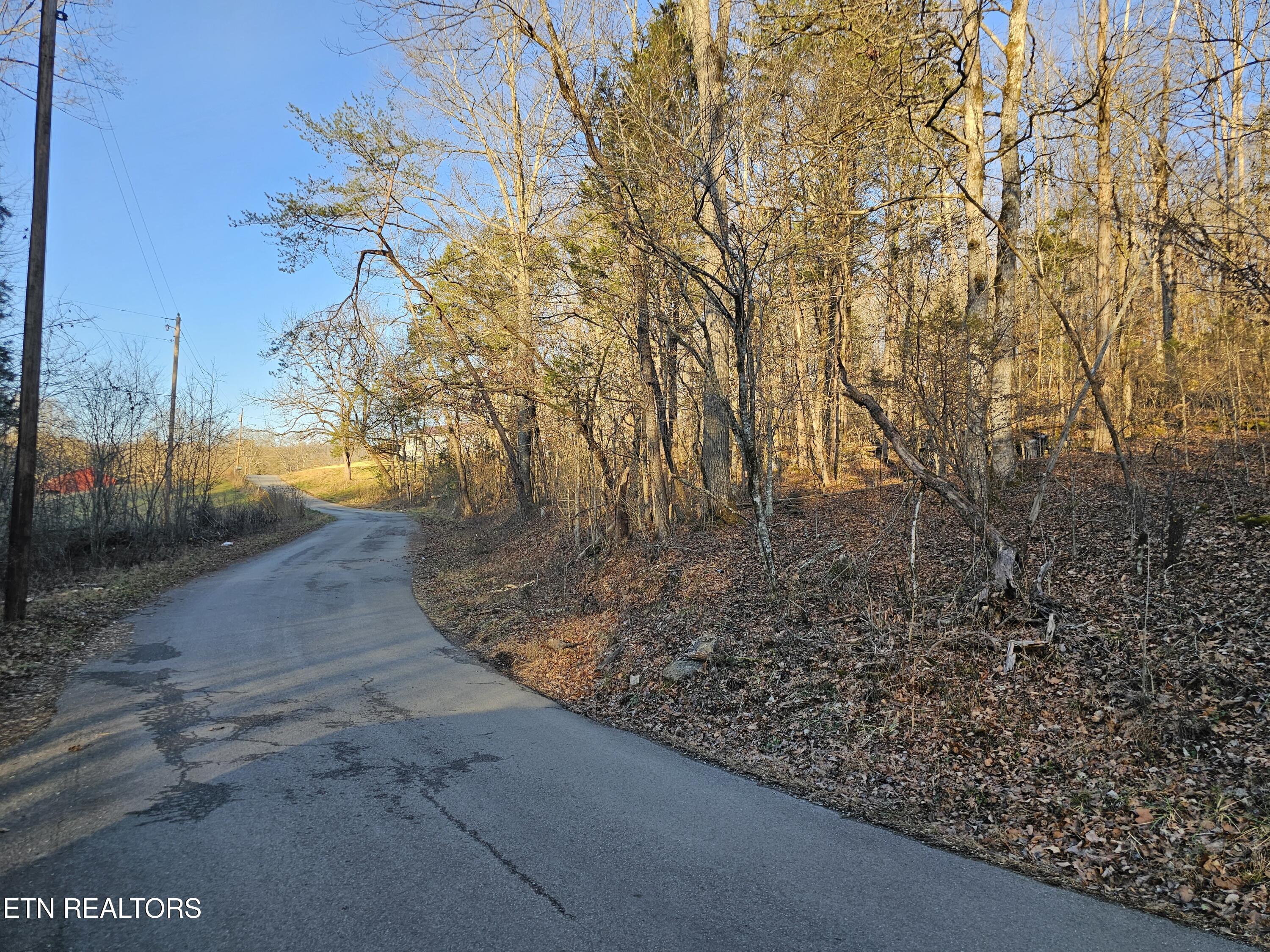 Blue Springs Road Speedwell TN 37870