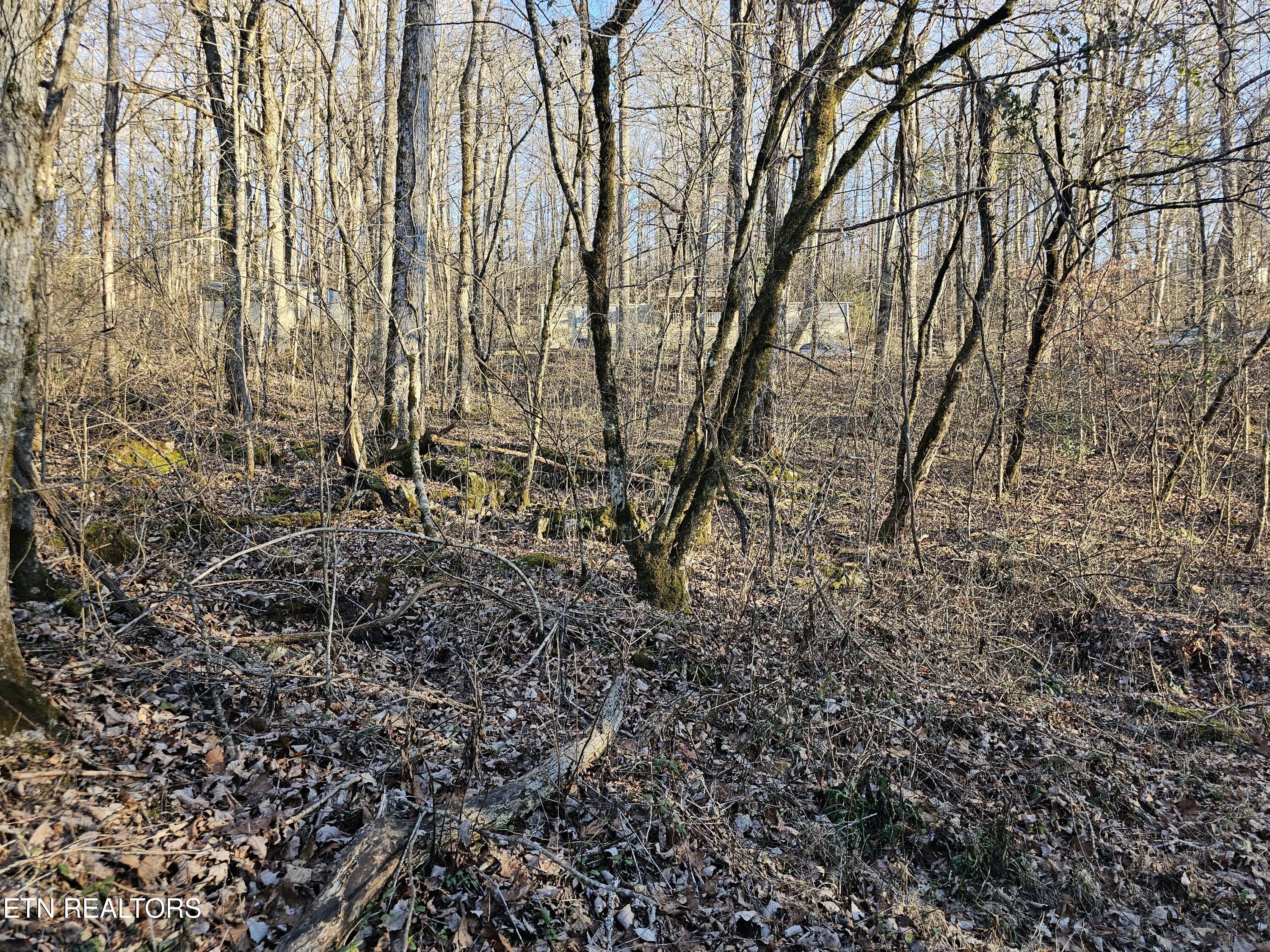 Blue Springs Road Speedwell TN 37870