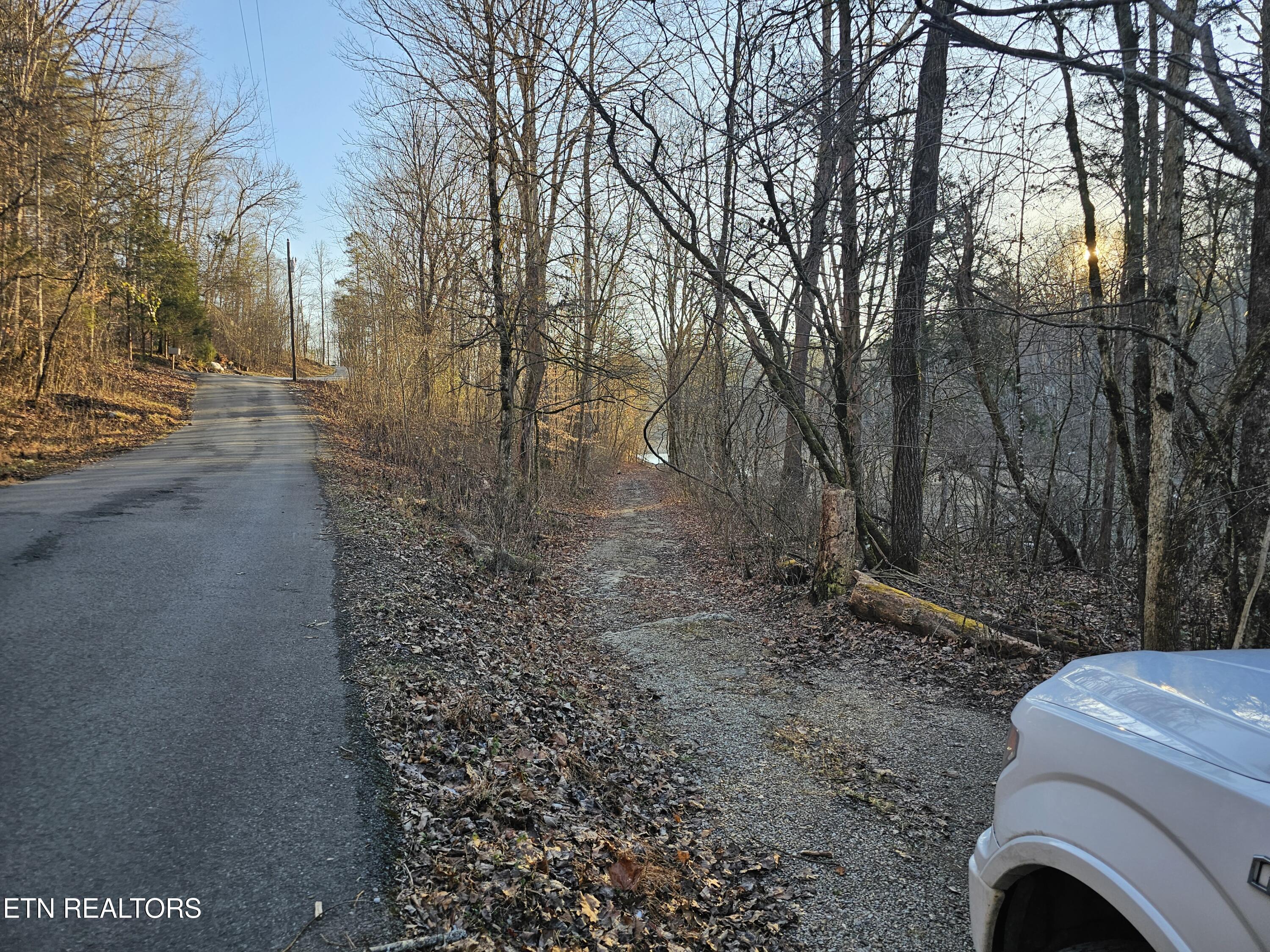 Blue Springs Road Speedwell TN 37870