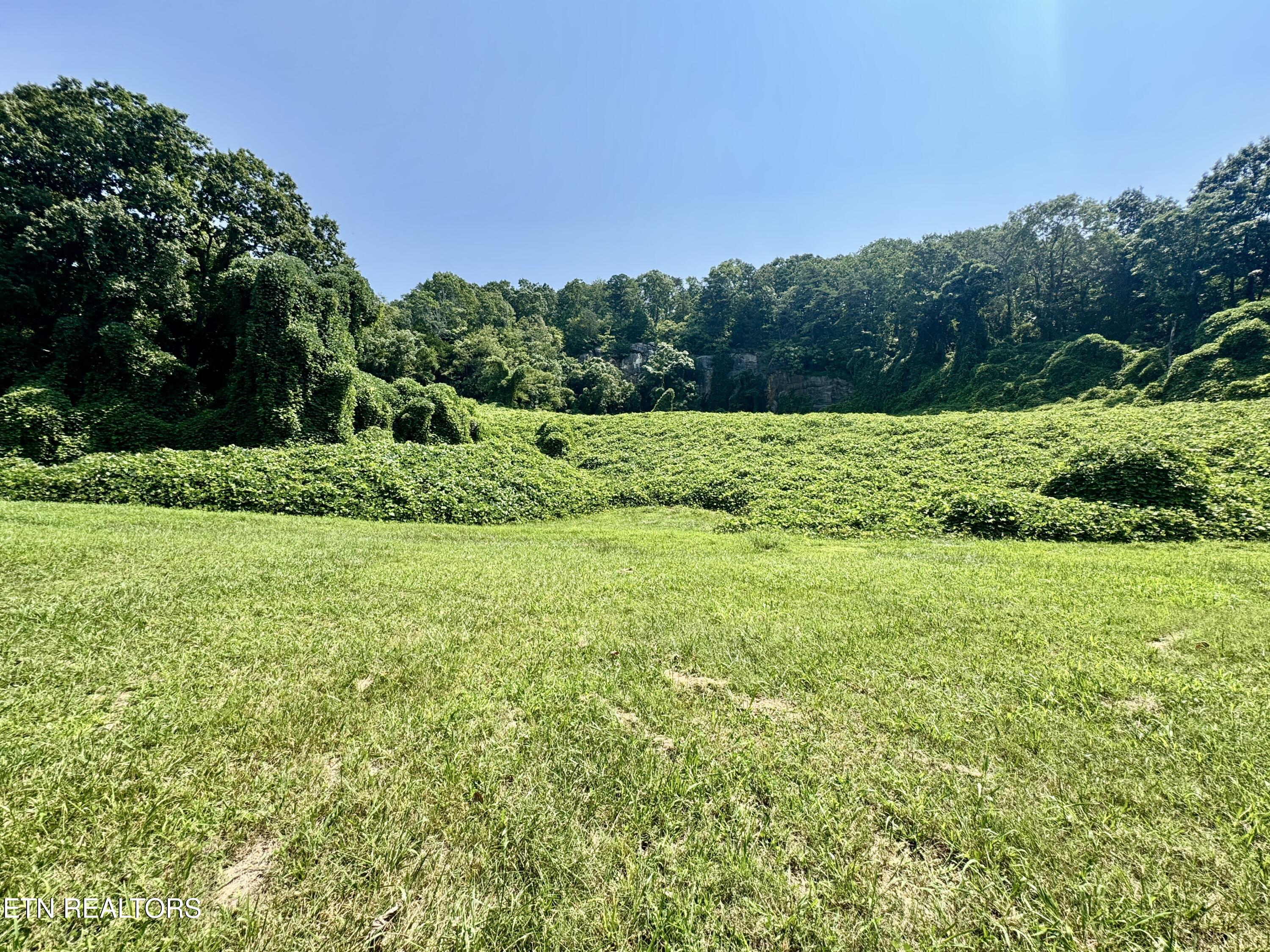 0 Tecoy Quarry Road Knoxville TN 37921