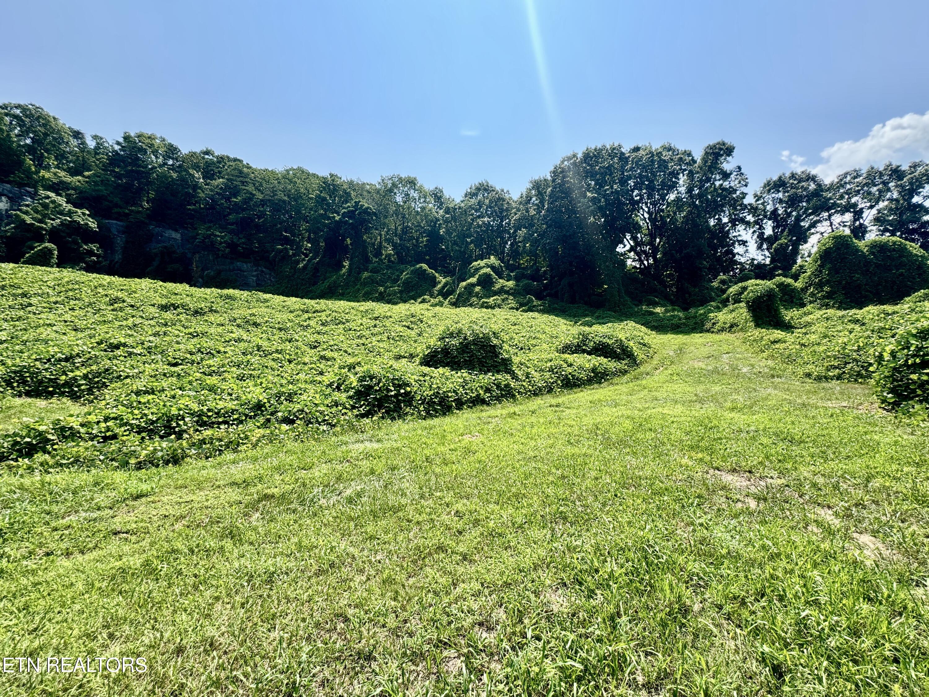 0 Tecoy Quarry Road Knoxville TN 37921