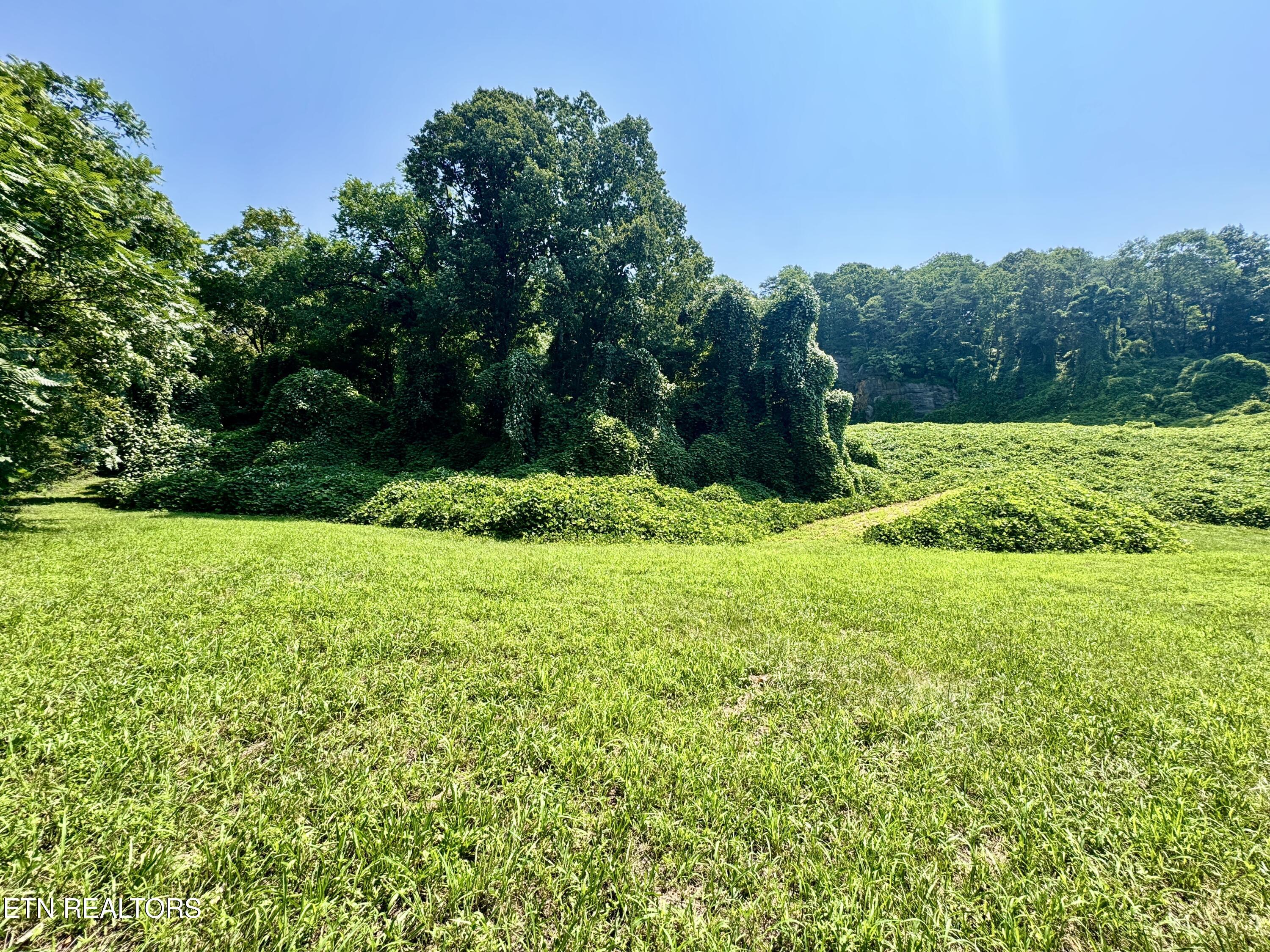 0 Tecoy Quarry Road Knoxville TN 37921