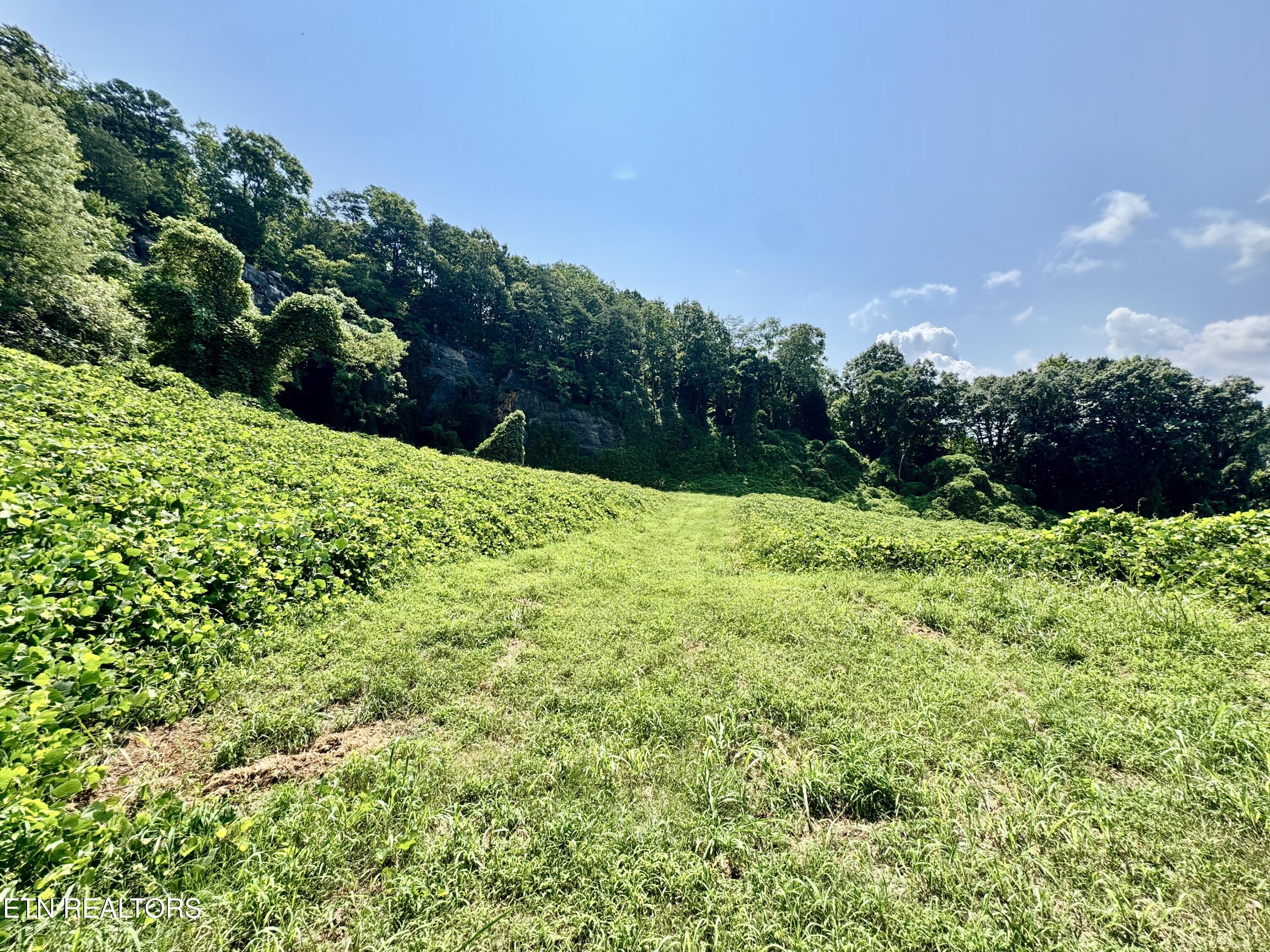 0 Tecoy Quarry Road Knoxville TN 37921
