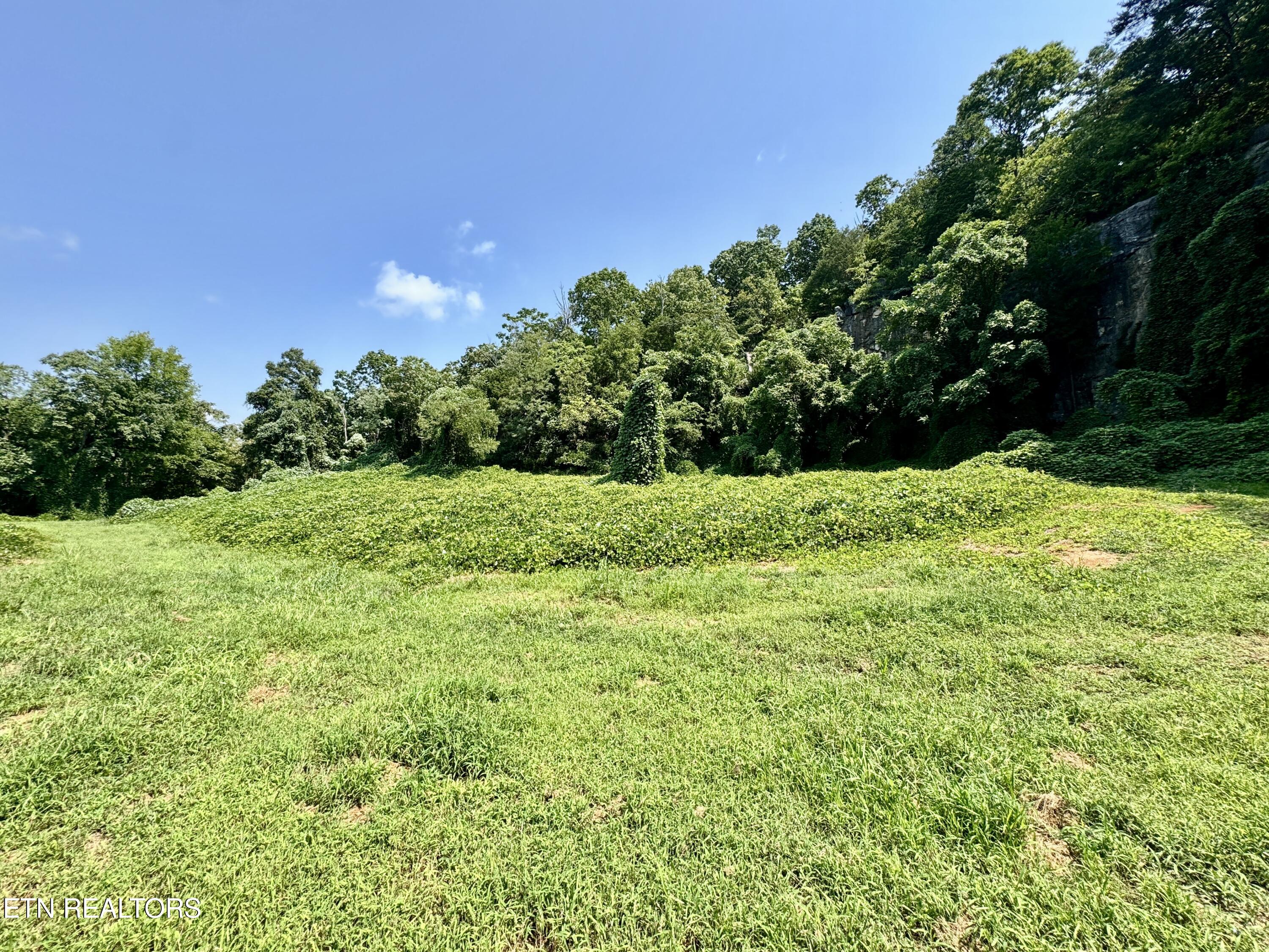 0 Tecoy Quarry Road Knoxville TN 37921