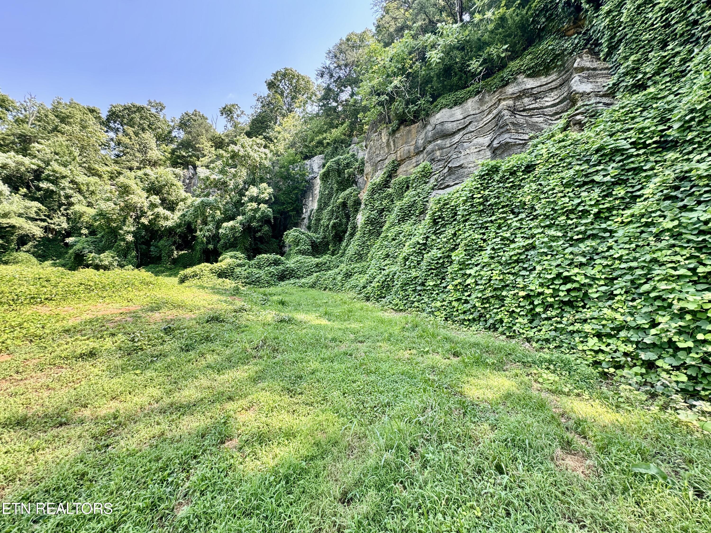 0 Tecoy Quarry Road Knoxville TN 37921