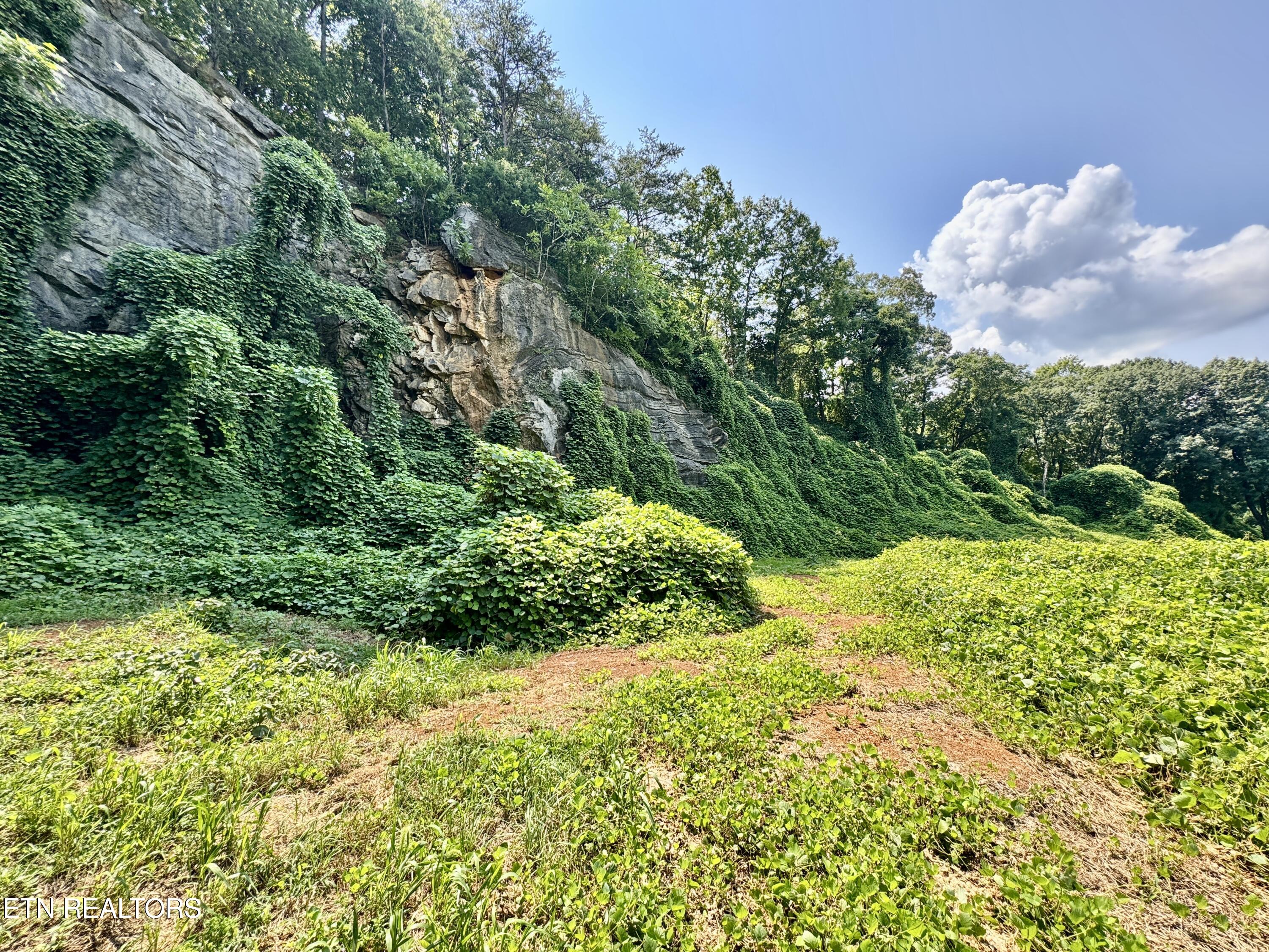0 Tecoy Quarry Road Knoxville TN 37921